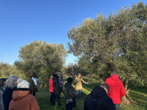 brist_olive_oil