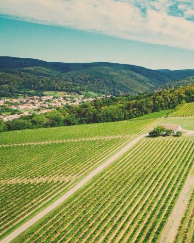 _heroHome_Kutjevo vinogradi_lg