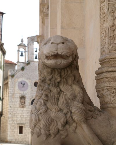 lion-4727641_1920